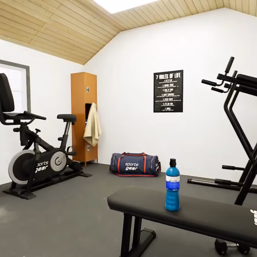 An exercise bike and medicine ball in the home gym build
